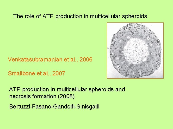 The role of ATP production in multicellular spheroids Venkatasubramanian et al. , 2006 Smallbone