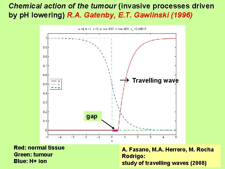 Chemical action of the tumour (invasive processes driven by p. H lowering) R. A.