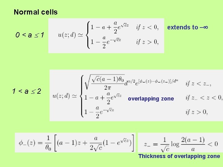 Normal cells 0<a 1 extends to 1<a 2 overlapping zone Thickness of overlapping zone