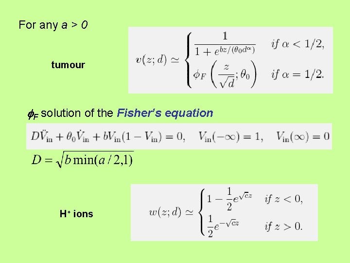 For any a > 0 tumour F solution of the Fisher’s equation H+ ions