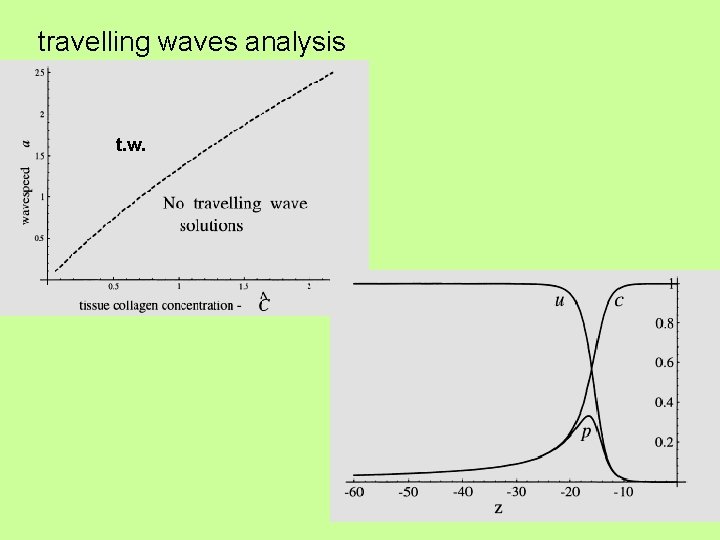 travelling waves analysis t. w. 