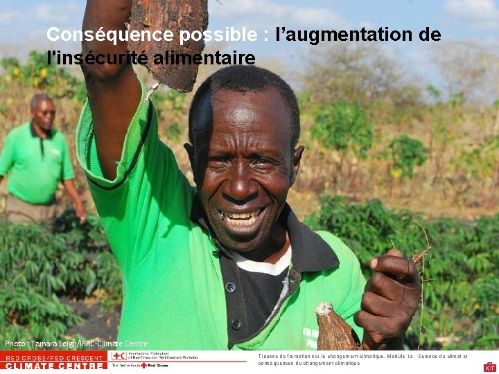 Conséquence possible : l’augmentation de l'insécurité alimentaire Photo : Tamara Leigh/IFRC-Climate Centre Trousse de