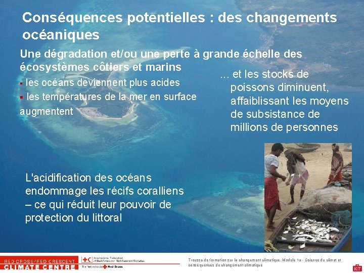 Conséquences potentielles : des changements océaniques Une dégradation et/ou une perte à grande échelle