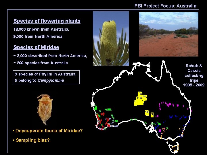 PBI Project Focus: Australia Species of flowering plants 18, 000 known from Australia, 9,