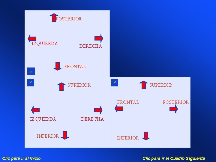 POSTERIOR IZQUIERDA DERECHA FRONTAL H F SUPERIOR P SUPERIOR FRONTAL IZQUIERDA INFERIOR Clic para