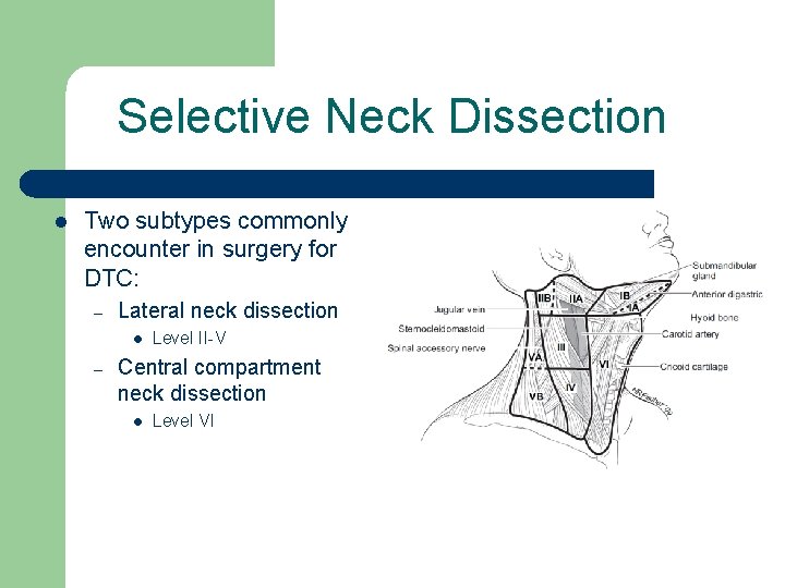 Selective Neck Dissection l Two subtypes commonly encounter in surgery for DTC: – Lateral