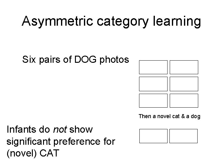 Asymmetric category learning Six pairs of DOG photos Then a novel cat & a