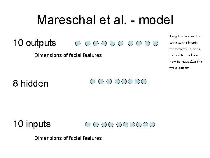 Mareschal et al. - model 10 outputs Dimensions of facial features 8 hidden 10