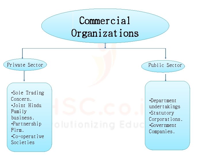 Commercial Organizations Private Sector Public Sector • Sole Trading Concern. • Joint Hindu Family