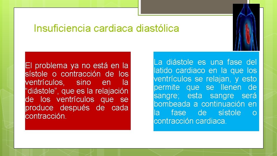 Insuficiencia cardiaca diastólica El problema ya no está en la sístole o contracción de