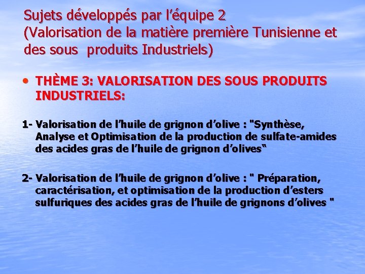 Sujets développés par l’équipe 2 (Valorisation de la matière première Tunisienne et des sous