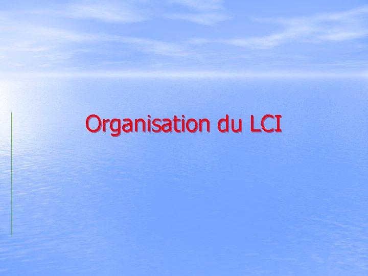Organisation du LCI 
