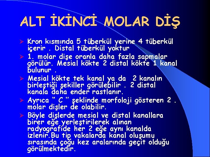 ALT İKİNCİ MOLAR DİŞ Ø Ø Ø Kron kısmında 5 tüberkül yerine 4 tüberkül