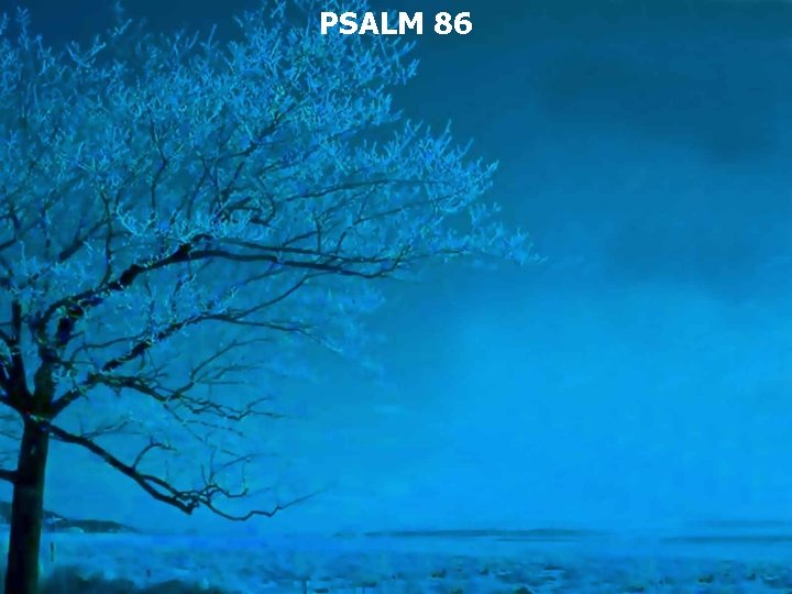 PSALM 86 