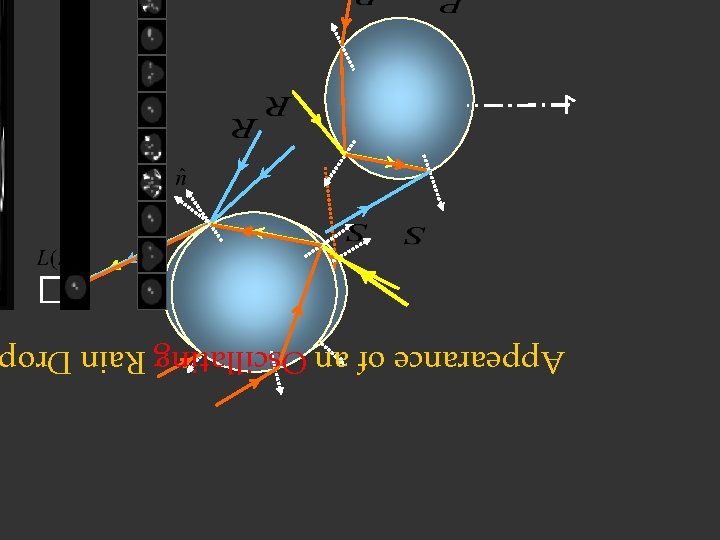 Appearance of an Oscillating Rain Dro N 