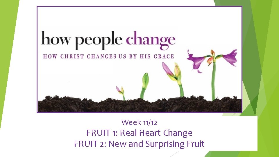 Week 11/12 FRUIT 1: Real Heart Change FRUIT 2: New and Surprising Fruit 