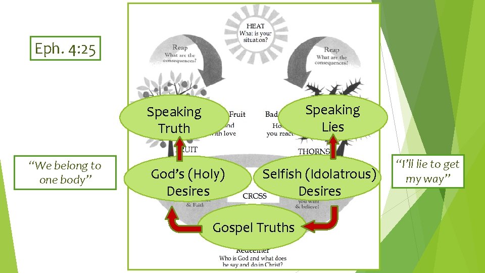 Eph. 4: 25 Speaking Lies Speaking Truth “We belong to one body” God’s (Holy)