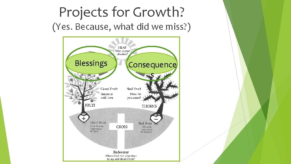 Projects for Growth? (Yes. Because, what did we miss? ) Blessings Consequence s 