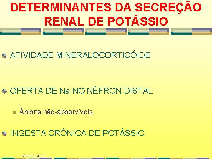 DETERMINANTES DA SECREÇÃO RENAL DE POTÁSSIO ATIVIDADE MINERALOCORTICÓIDE OFERTA DE Na NO NÉFRON DISTAL DETERMINANTES DA SECREÇÃO RENAL DE POTÁSSIO ATIVIDADE MINERALOCORTICÓIDE OFERTA DE Na NO NÉFRON DISTAL