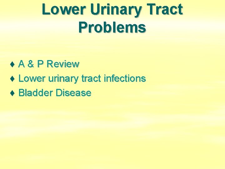 Lower Urinary Tract Problems ♦ A & P Review ♦ Lower urinary tract infections