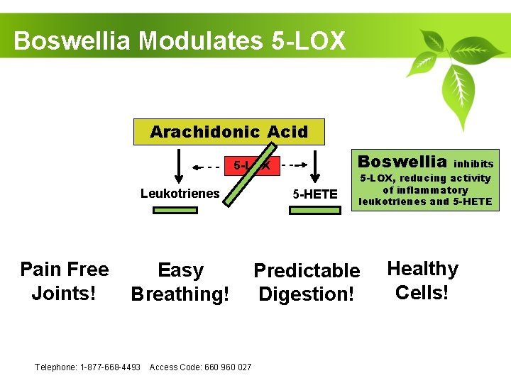 Supersmart Boswellia 5-LOX 90 Capsules - Date De Péremption 02/2028 - Pour Articulations Et Intestins