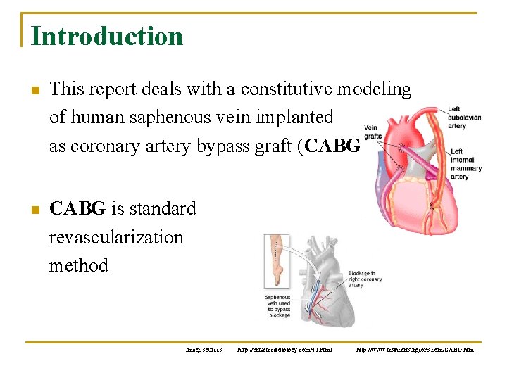 Introduction n This report deals with a constitutive modeling of human saphenous vein implanted