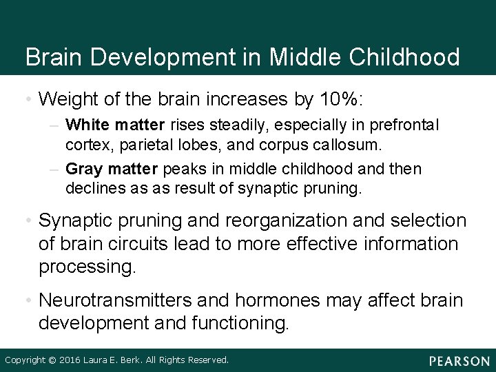 Brain Development in Middle Childhood • Weight of the brain increases by 10%: – Brain Development in Middle Childhood • Weight of the brain increases by 10%: –