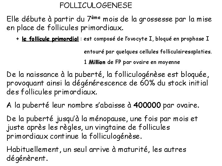 FOLLICULOGENESE Elle débute à partir du 7ème mois de la grossesse par la mise FOLLICULOGENESE Elle débute à partir du 7ème mois de la grossesse par la mise
