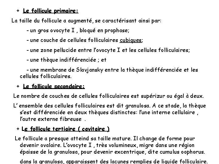 + Le follicule primaire: La taille du follicule a augmenté, se caractérisant ainsi par: + Le follicule primaire: La taille du follicule a augmenté, se caractérisant ainsi par: