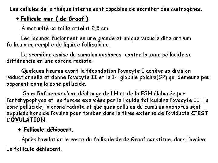 Les cellules de la thèque interne sont capables de sécréter des œstrogènes. + Follicule Les cellules de la thèque interne sont capables de sécréter des œstrogènes. + Follicule