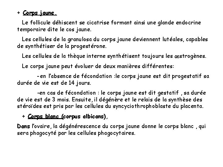 + Corps jaune, Le follicule déhiscent se cicatrise formant ainsi une glande endocrine temporaire + Corps jaune, Le follicule déhiscent se cicatrise formant ainsi une glande endocrine temporaire