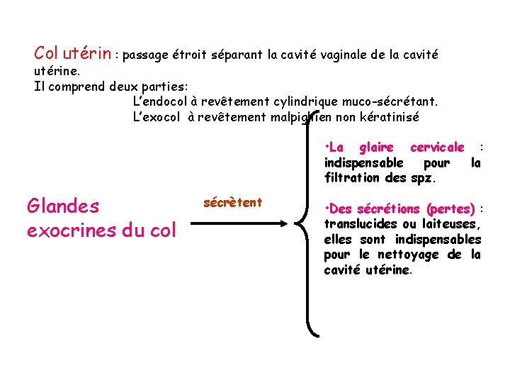 Col utérin : passage étroit séparant la cavité vaginale de la cavité utérine. Il Col utérin : passage étroit séparant la cavité vaginale de la cavité utérine. Il