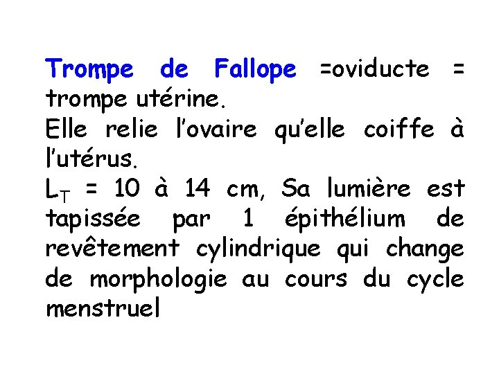 Trompe de Fallope =oviducte = trompe utérine. Elle relie l’ovaire qu’elle coiffe à l’utérus. Trompe de Fallope =oviducte = trompe utérine. Elle relie l’ovaire qu’elle coiffe à l’utérus.
