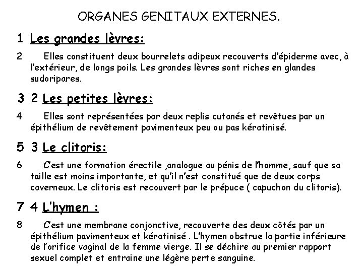 ORGANES GENITAUX EXTERNES. 1 Les grandes lèvres: 2 Elles constituent deux bourrelets adipeux recouverts ORGANES GENITAUX EXTERNES. 1 Les grandes lèvres: 2 Elles constituent deux bourrelets adipeux recouverts