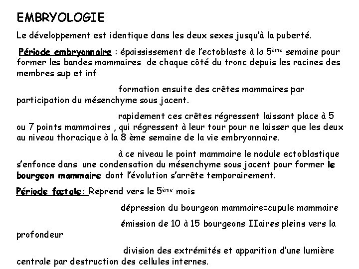 EMBRYOLOGIE Le développement est identique dans les deux sexes jusqu’à la puberté. Période embryonnaire EMBRYOLOGIE Le développement est identique dans les deux sexes jusqu’à la puberté. Période embryonnaire