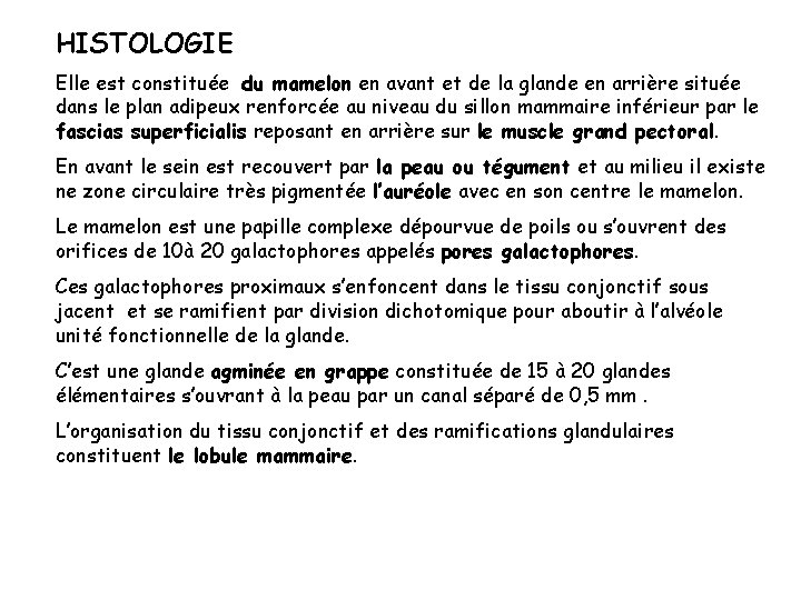 HISTOLOGIE Elle est constituée du mamelon en avant et de la glande en arrière HISTOLOGIE Elle est constituée du mamelon en avant et de la glande en arrière