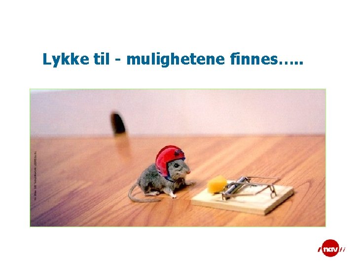 Lykke til - mulighetene finnes…. . 