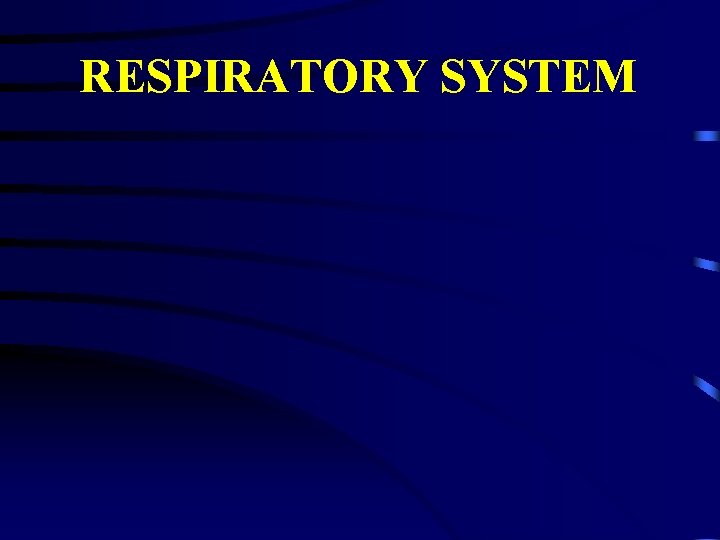 RESPIRATORY SYSTEM 