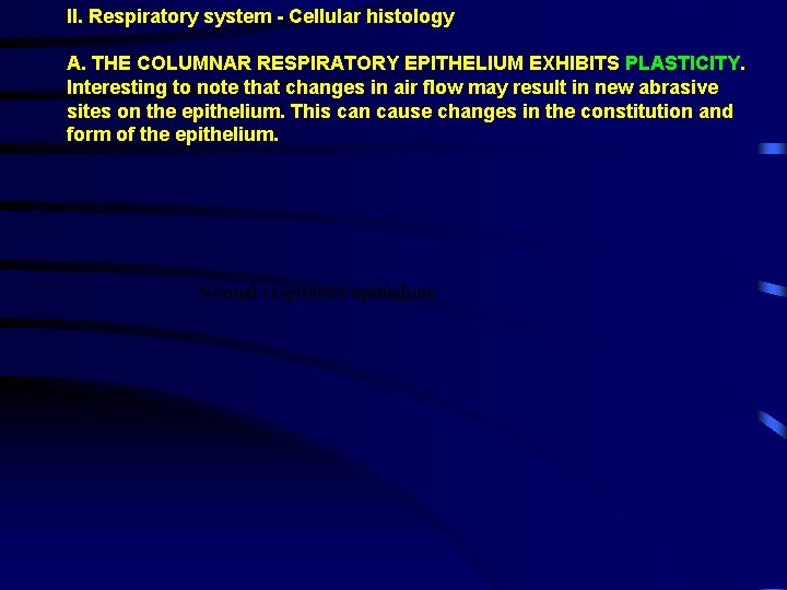 II. Respiratory system - Cellular histology A. THE COLUMNAR RESPIRATORY EPITHELIUM EXHIBITS PLASTICITY. Interesting