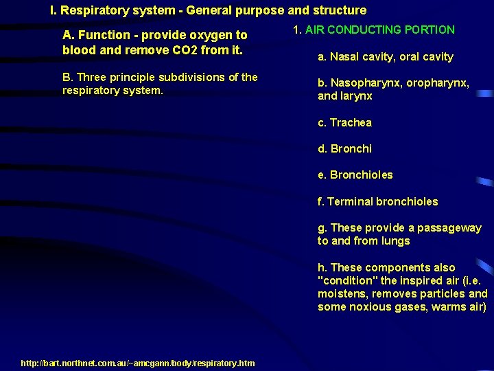 I. Respiratory system - General purpose and structure A. Function - provide oxygen to