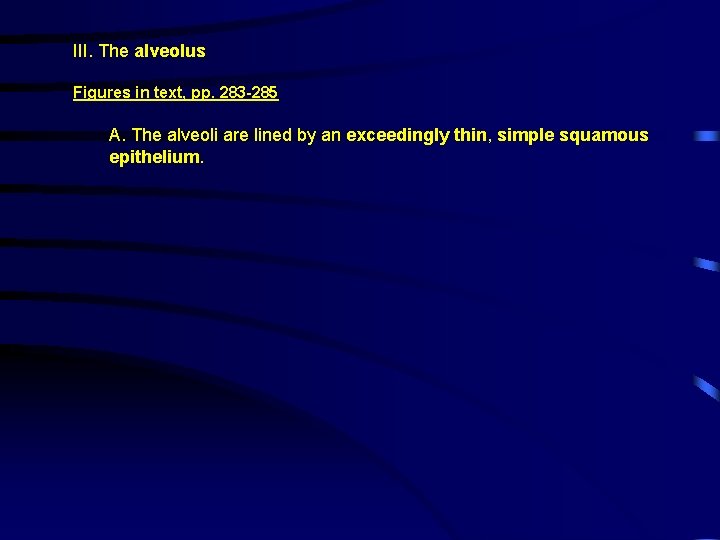 III. The alveolus Figures in text, pp. 283 -285 A. The alveoli are lined