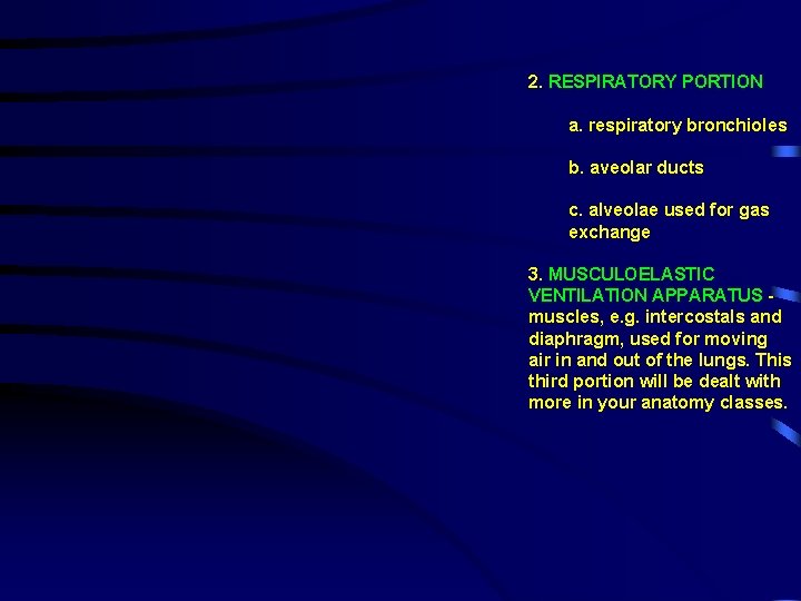 2. RESPIRATORY PORTION a. respiratory bronchioles b. aveolar ducts c. alveolae used for gas