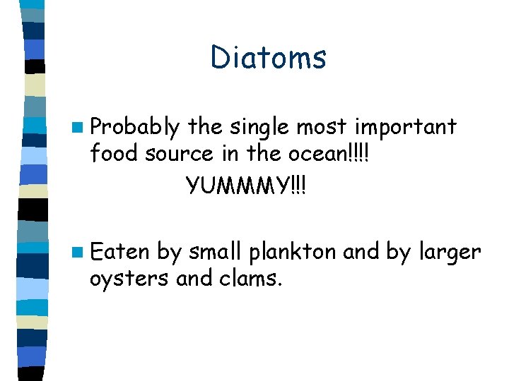 Diatoms n Probably the single most important food source in the ocean!!!! YUMMMY!!! n