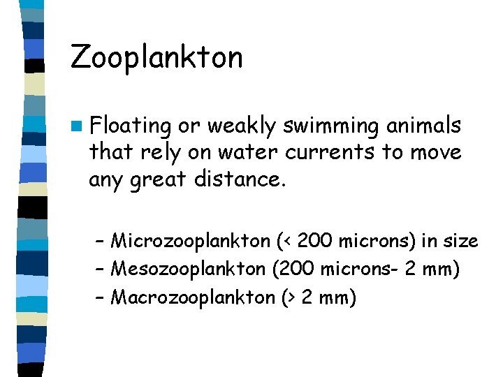 Zooplankton n Floating or weakly swimming animals that rely on water currents to move