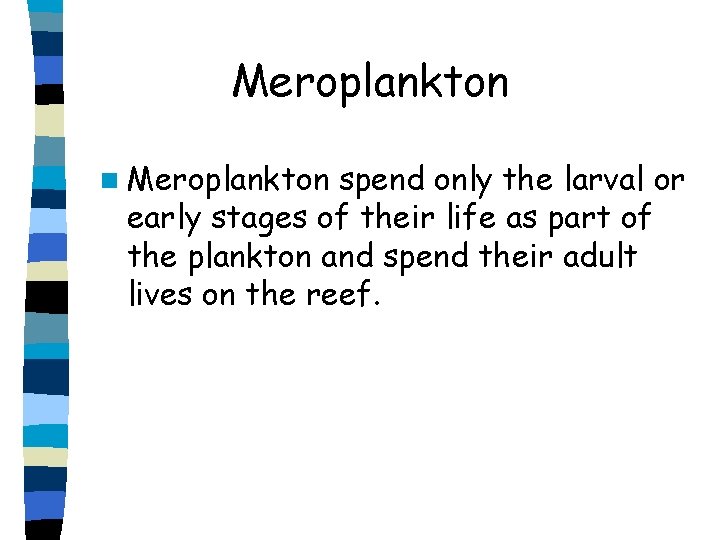 Meroplankton n Meroplankton spend only the larval or early stages of their life as Meroplankton n Meroplankton spend only the larval or early stages of their life as