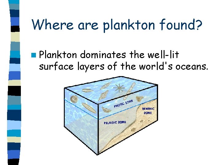 Where are plankton found? n Plankton dominates the well-lit surface layers of the world's