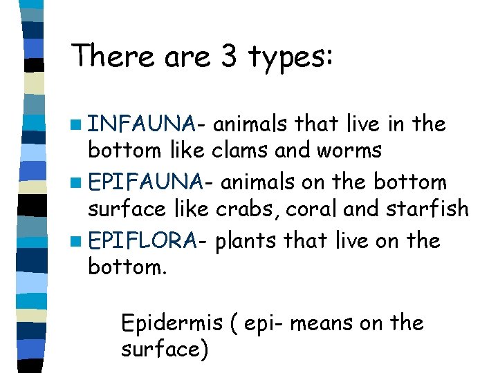 There are 3 types: n INFAUNA- animals that live in the bottom like clams