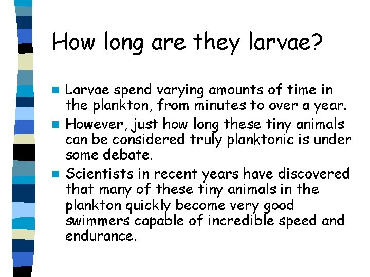How long are they larvae? Larvae spend varying amounts of time in the plankton, How long are they larvae? Larvae spend varying amounts of time in the plankton,