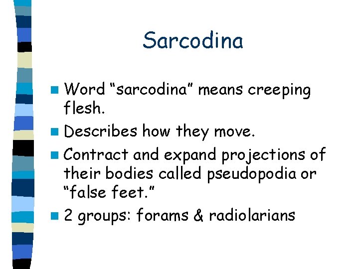 Sarcodina n Word “sarcodina” means creeping flesh. n Describes how they move. n Contract