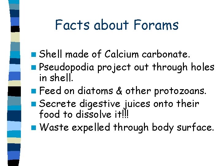 Facts about Forams n Shell made of Calcium carbonate. n Pseudopodia project out through